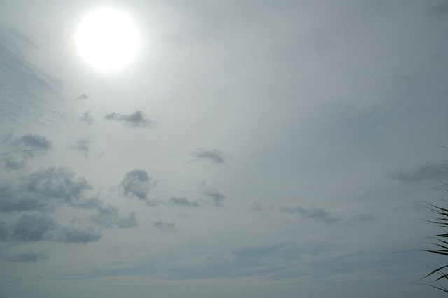 20090722_090521