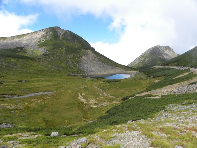 Thumbnail of post image 186