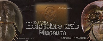 k_20230918_03