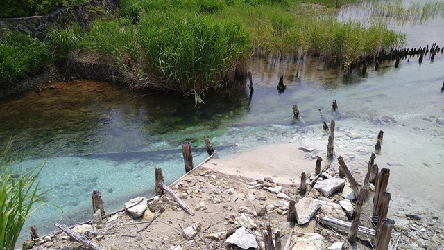 20240715_112808 20240715_112808