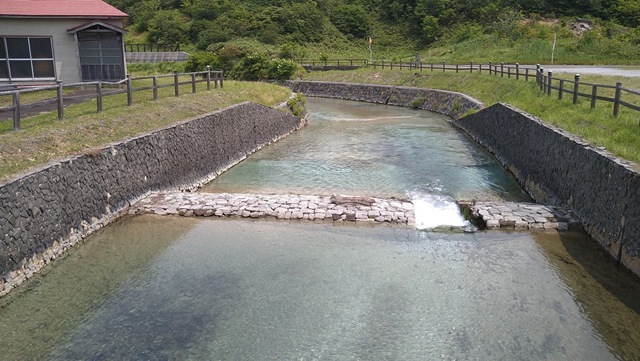 20240715_112940 20240715_112940