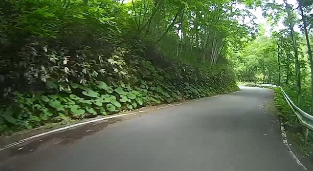 20240715_122816 20240715_122816